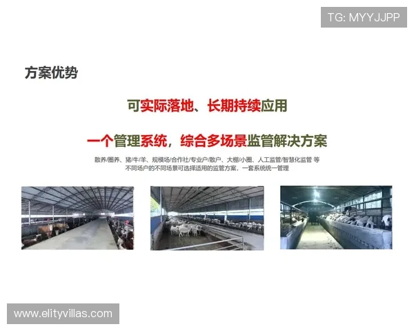 欧博开户平台怎么样:技术支持与系统稳定性评估 欧博开户平台怎么样:技术支持与系统稳定性评估